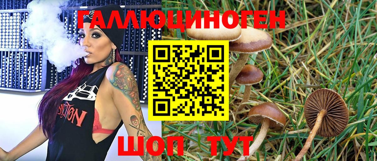 Галлюциногенные грибы Psilocybe Ростов Великий