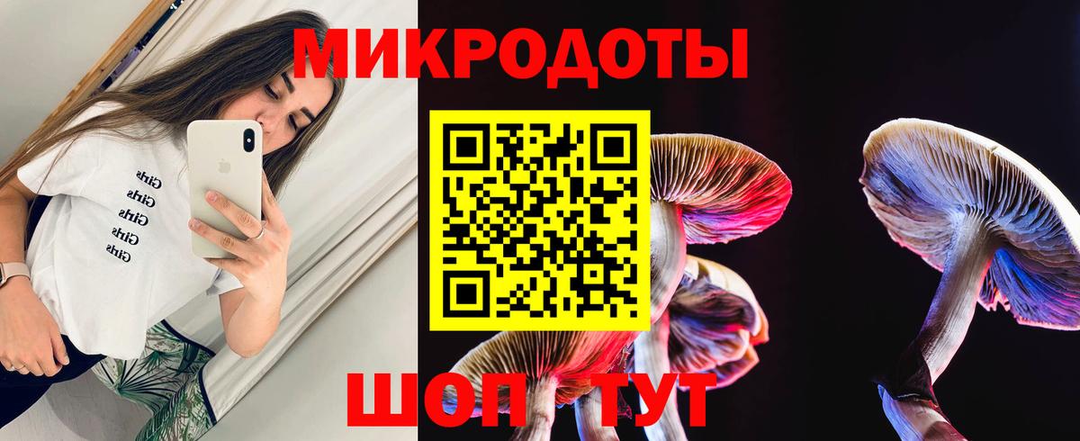 Псилоцибиновые грибы Psilocybine cubensis  Вход с VPN  Ростов Великий 